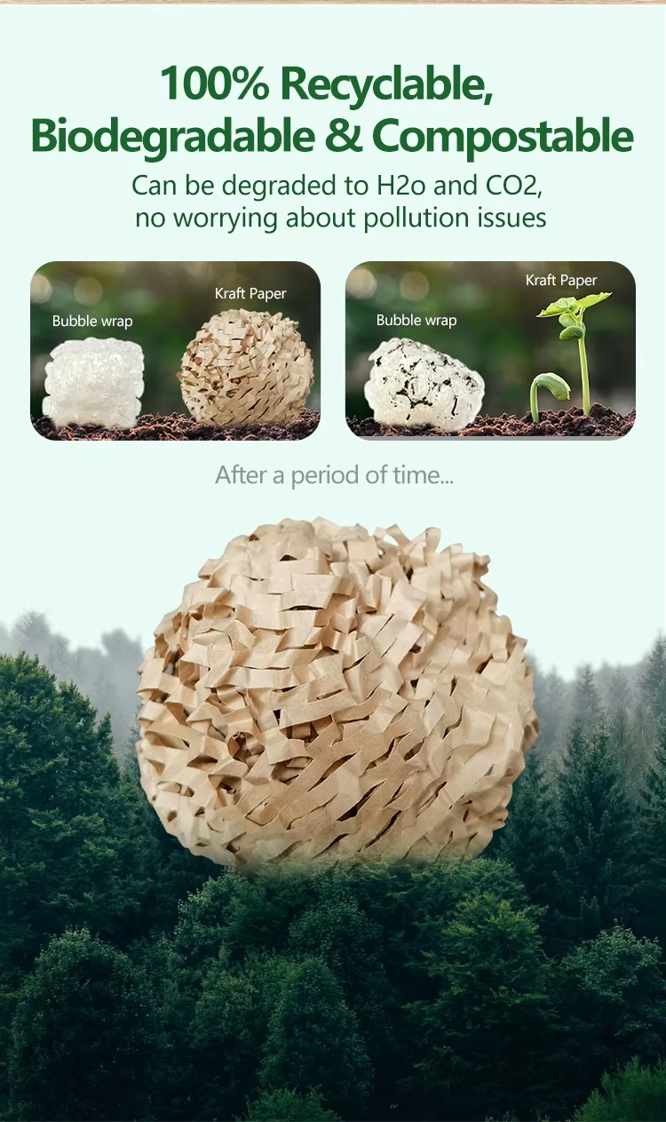 Honeycomb Paper with Box